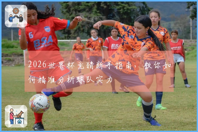 2026世界杯竞猜新手指南，教你如何精准分析球队实力