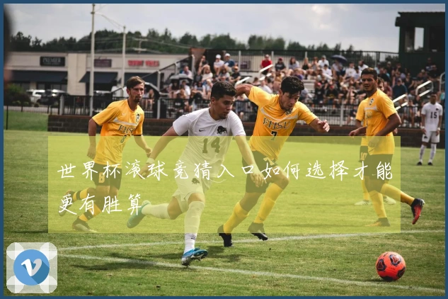 世界杯滚球竞猜入口如何选择才能更有胜算
