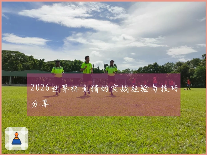 2026世界杯竞猜的实战经验与技巧分享