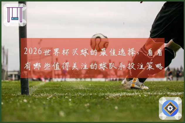 2026世界杯买球的最佳选择，看看有哪些值得关注的球队和投注策略