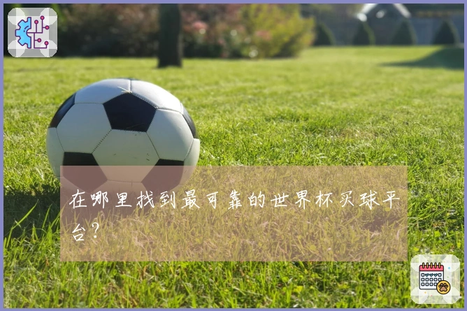 在哪里找到最可靠的世界杯买球平台？