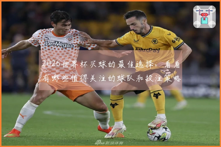 2026世界杯买球的最佳选择，看看有哪些值得关注的球队和投注策略