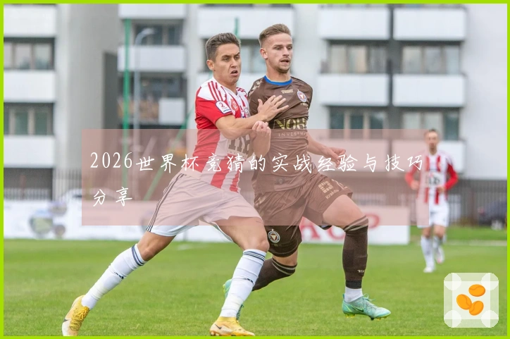 2026世界杯竞猜的实战经验与技巧分享