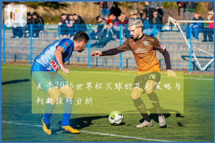 关于2026世界杯买球的足彩策略与判断技巧分析